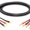 Mogami 3103 (L,R) Paar High Definition Lautsprecherkabel | VIABLUE 24k Gold T6S Bananenstecker - Kabelschuhe (Spades)